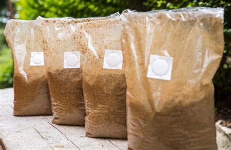 Lion's Mane Mushroom Grow Bag