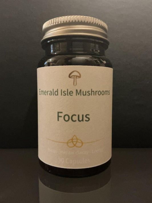 Focus (100% Lion's Mane)