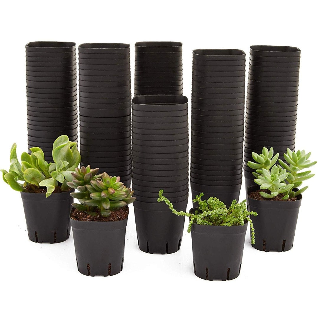 Plant Pots